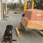 Business 11 image EDUARDO A ARECCO CHB Transportation Services in Tampa FL