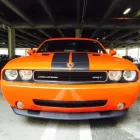 Business 7 image ELITE MOBILE PAINTLESS DENT REPAIR Vehicle Restoration in Tampa FL