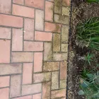 Business 21 image ELITE RESTORATION SERVICES Window Cleaning in San Diego CA