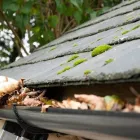 Business 52 image ELITE RESTORATION SERVICES Window Cleaning in San Diego CA