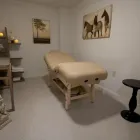 Business 3 image ESSEX ACUPUNCTURE in Montclair NJ