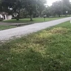 Business 2 image EVERGREEN JUNK REMOVAL Debris Removal in Tampa FL