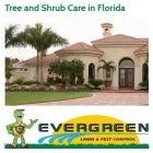 Business 1 image EVERGREEN LAWN & PEST CONTROL Termite Control Service in Orlando FL