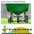 Business 5 image EVERGREEN LAWN & PEST CONTROL Termite Control Service in Orlando FL