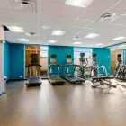 Business 6 image FAIRFIELD INN & SUITES BY MARRIOTT ST PETERSBURG NORTH in St Petersburg FL