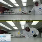 Business 1 image FDP MOLD REMEDIATION OF CORAL GABLES Mold Testing in Miami FL