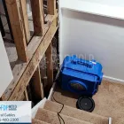 Business 3 image FDP MOLD REMEDIATION OF CORAL GABLES Mold Testing in Miami FL