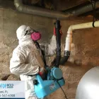 Business 4 image FDP MOLD REMEDIATION OF MIAMI Mold Treatment in Miami FL