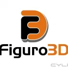 Business 1 image FIGURO3D in South Bend IN