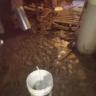Business 4 image FIRST RESPONSE DISASTER RESTORATION SPECIALISTS Waste Management in South Bend IN