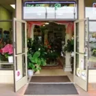 Business 5 image FLORAL GALLERY Wedding Supplies & Services in San Diego CA