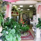 Business 6 image FLORAL GALLERY Wedding Supplies & Services in San Diego CA