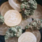 Business 3 image FLUENT CANNABIS DISPENSARY - TAMPA Vape Carts in Tampa FL