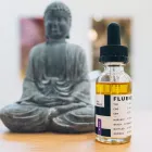 Business 11 image FLUENT CANNABIS DISPENSARY - TAMPA Vape Carts in Tampa FL