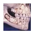 Business 2 image FOXFIELD DENTAL Pediatric Dentistry in Foxfield CO