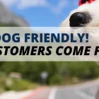 Business 1 image FRANKLIN CAR CARE Industry & Manufacturing in Tampa FL