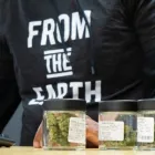 Business 6 image FROM THE EARTH MEDICAL MARIJUANA DISPENSARY BROOKSIDE in Kansas City MO