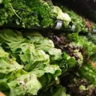 Business 10 image FRY'S FOOD AND DRUG Supermarkets in Phoenix AZ