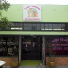 Business 1 image FURRY FRIENDS DOG AND CAT GROOMING Pet Grooming in San Diego CA