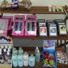 Business 3 image FURRY FRIENDS DOG AND CAT GROOMING Pet Grooming in San Diego CA