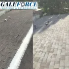 Business 2 image GALE FORCE ROOFING & RESTORATION Roofing Contractors in Tampa FL