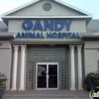 Business 1 image GANDY ANIMAL HOSPITAL Veterinary Specialty Services in Tampa FL
