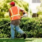 Business 2 image GASTON LANDSCAPING SERVICES, LLC in Miami FL