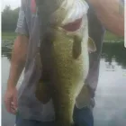 Business 2 image GET HOOKED BAIT AND TACKLE in Ocoee FL