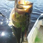 Business 7 image GET HOOKED BAIT AND TACKLE in Ocoee FL