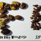 Business 9 image GIFTS FROM EARTH Herbal Teas in Sacramento CA