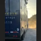 Business 3 image GOLDEN MOVERS LLC Movers in Tampa FL