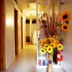 Business 4 image GRAND HEALING SPA Day Spas in New York NY