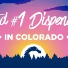 Business 7 image GREEN DRAGON RECREATIONAL MARIJUANA DISPENSARY EAST COLFAX AVE Pipes in Denver CO