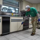 Business 2 image GREEN-TECH TERMITE AND PEST CONTROL Pest Control Equipment in Palm Harbor FL