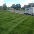 Business 1 image GREENPAL LAWN CARE Lawn Service in Tampa FL