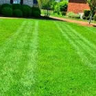 Business 2 image GREENPAL LAWN CARE Lawn Service in Tampa FL
