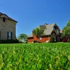 Business 4 image GREENPAL LAWN CARE Lawn Service in Tampa FL