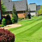 Business 5 image GREENPAL LAWN CARE Lawn Service in Tampa FL