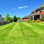 Business 6 image GREENPAL LAWN CARE Lawn Service in Tampa FL