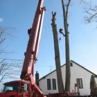 Business 1 image GREG'S TREE SERVICE Firewood in Buffalo NY