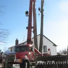 Business 2 image GREG'S TREE SERVICE Firewood in Buffalo NY