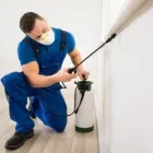 Business 5 image HAELO TOTAL HOUSE CARE Window Cleaning Service in San Diego CA