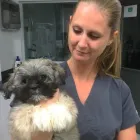 Business 3 image HAMMOCKS VETERINARY HOSPITAL Veterinary Pharmacies in Miami FL