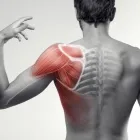 Business 5 image HANDS ON OSTEOPATHIC AND INJURY CARE Osteopaths in Orlando FL