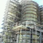 Business 1 image HANDS ON STAFFING Works in Tampa FL