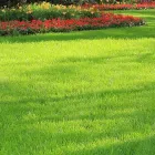 Business 1 image HAWK VALLEY LANDSCAPING Shrub Trimming in Orlando FL