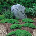 Business 2 image HAWK VALLEY LANDSCAPING Shrub Trimming in Orlando FL