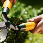 Business 3 image HAWK VALLEY LANDSCAPING Shrub Trimming in Orlando FL