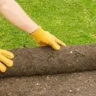 Business 4 image HAWK VALLEY LANDSCAPING Shrub Trimming in Orlando FL