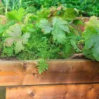 Business 7 image HAWK VALLEY LANDSCAPING Shrub Trimming in Orlando FL